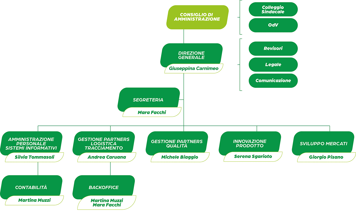 Organizational chart